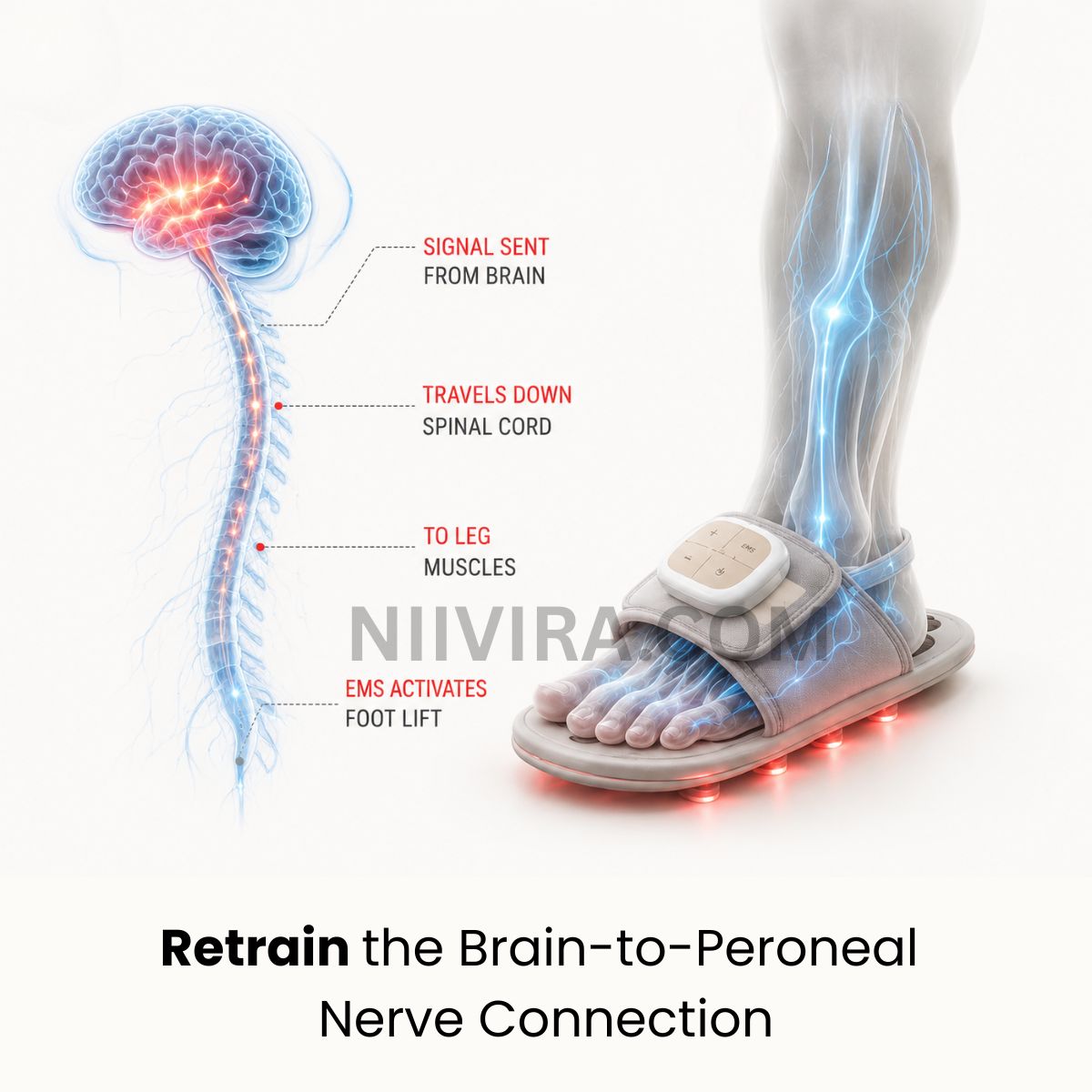 NeuroStep for MS - Lift Your Foot Again (A Pair)